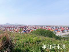 -洋山深水港