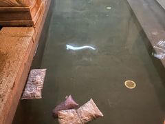 -咸宁万豪温泉谷度假区