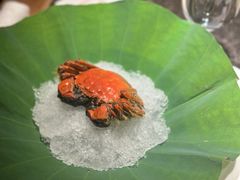 -觀芷隐轩