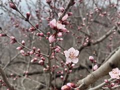 -天津盘山风景名胜区