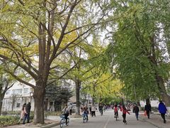 -四川大学(华西校区)