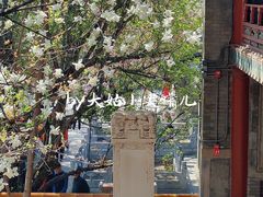-潭柘寺景区