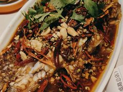 -杨氏青龙虾·羊蝎子(金盛路总店)