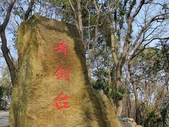 -上海佘山国家森林公园天马山园