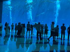 -亚特兰蒂斯•OSSIANO奥西亚诺海底餐厅