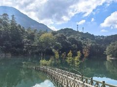 -广州市流溪河国家森林公园