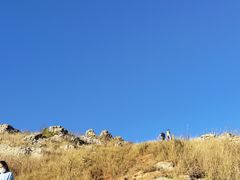 -长虫山生态公园风景林