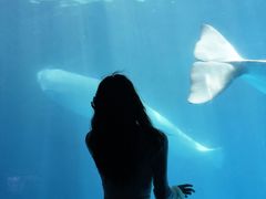 -海合安成都极地海洋公园