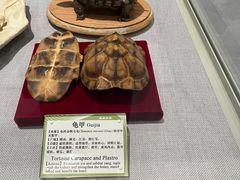 -北京中医药大学-中医药博物馆