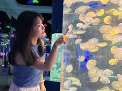 -重庆欢乐海底世界