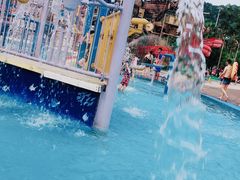 -重庆海昌加勒比海水世界