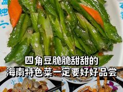 -亚龙湾热带天堂森林公园
