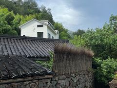 -原乡芦茨咖啡