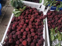 -云南木水花野生菌交易中心