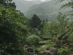 -藏龙百瀑风景区