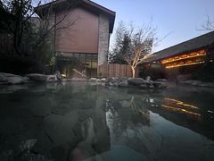 -宁海安岚·南溪阁全日餐厅