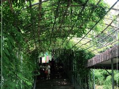 -蓟州溶洞风景区
