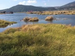 -腾冲北海湿地