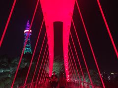 -金鸡山公园