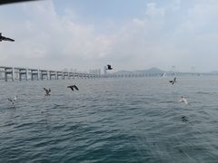 -星海湾跨海大桥
