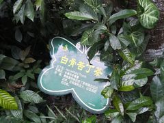 -呀诺达热带雨林
