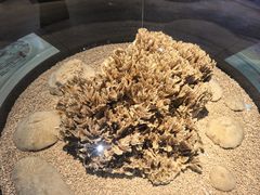 -天津自然博物馆