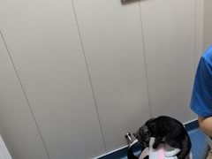 -创凡宠物医院·骨专科  猫科中心(西乡分院)