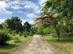 -中国科学院西双版纳热带植物园