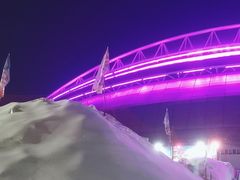 -沈阳奥体冰雪嘉年华