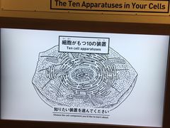 -日本科学未来馆