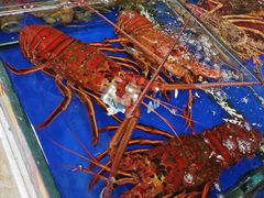 -江杨农产品批发市场