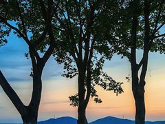 -济南国际园博园