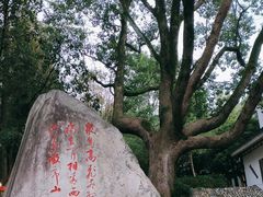 -敬亭山风景名胜区