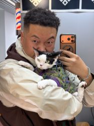 -HighPack男士理发Barbershop海派