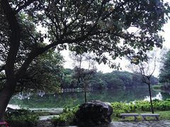 -雀儿山公园