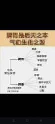 -雅曼妮spa美容养生