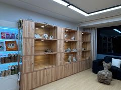 -猫十亿·布偶金渐层·曼基康矮脚猫舍(青年路店)