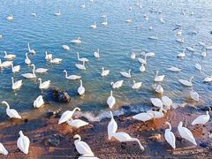 -石岛赤山风景区