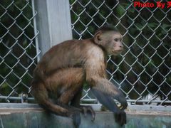 -西安秦岭野生动物园