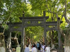 -杭州黄龙洞