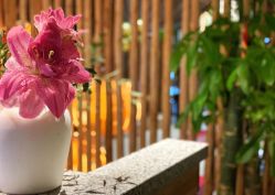 点击看大图 -花隐瑜伽·普拉提·红绳
