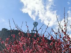 -楠溪江风景名胜区