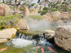 -罗红摄影艺术馆