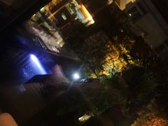 -辉哥火锅(虹桥路店)