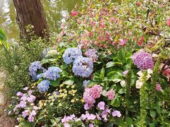 -人民公园(罗湖区)