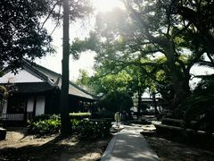 -绍兴鲁迅故里·沈园景区