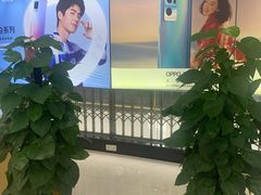 -中国移动(红黄路店)