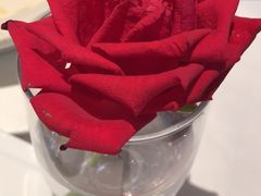 -波特曼西餐厅(南岗店)