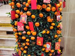 -澳门西南饭店·粤菜·茶市·手工点心(华海路店)