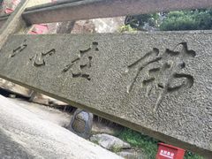 -普陀山风景区-佛顶山
